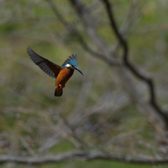 今度はよかった
