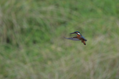 遅刻だ！　②－1－2