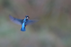 陽を浴びて、お願い。②