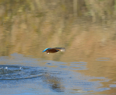 Ｏさんの様に・・・　５