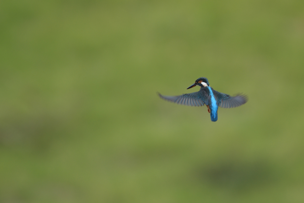 遅刻だ！　②－2