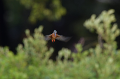 ７分で４発　２