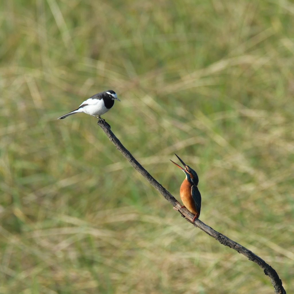 そこ、わたしの場所。