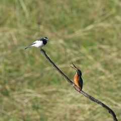 そこ、わたしの場所。