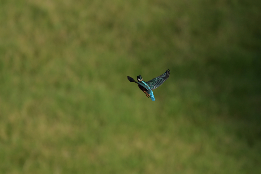 プチ祭り　⑥－４