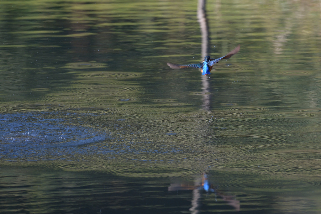 アスガアルサ　２