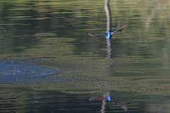 アスガアルサ　２