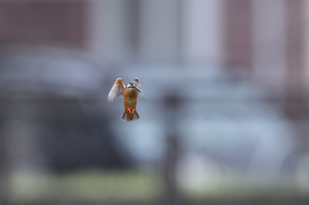 入場は、2回のみ。