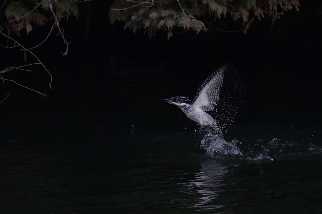 とりあえず　３