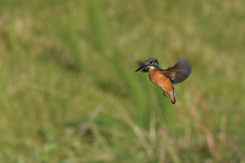 こんな具合に。