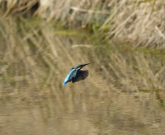 Ｏさんの様に・・・　９