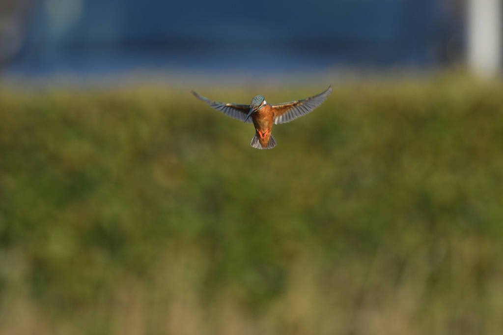 プチ三段ホバ？　④