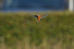 プチ三段ホバ？　④