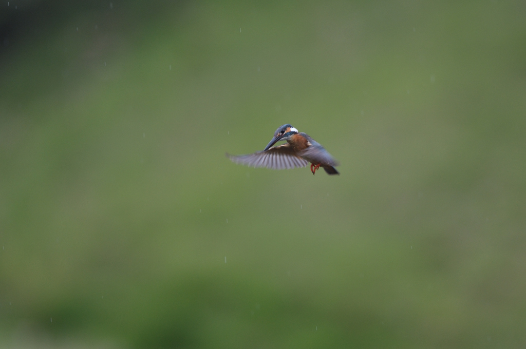 入場は、2回のみ。