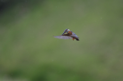 入場は、2回のみ。