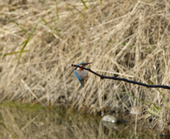 Ｏさんの様に・・・　１２