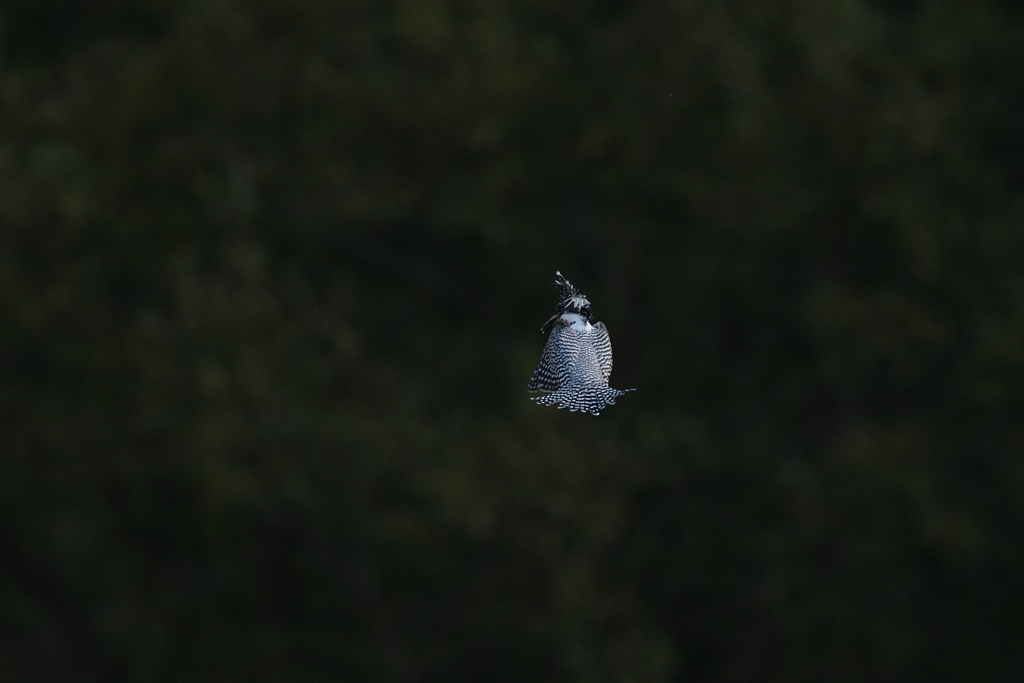 止まらなかった　3