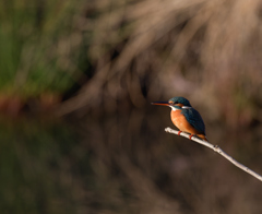 また、はじまる。　２