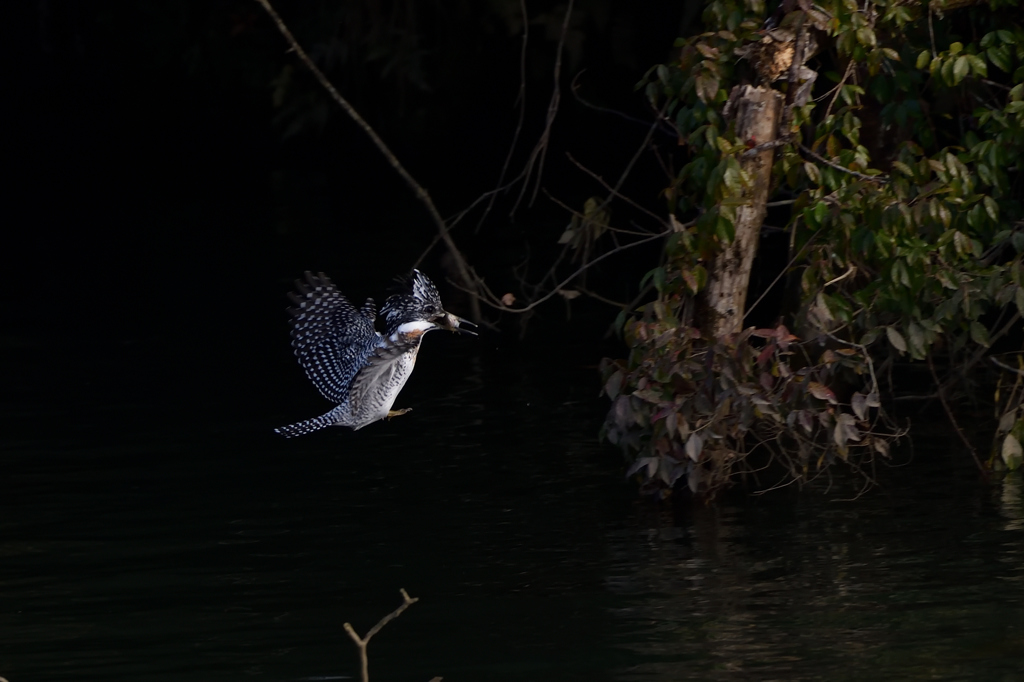 着地できるかな？？？