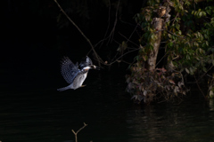 着地できるかな？？？