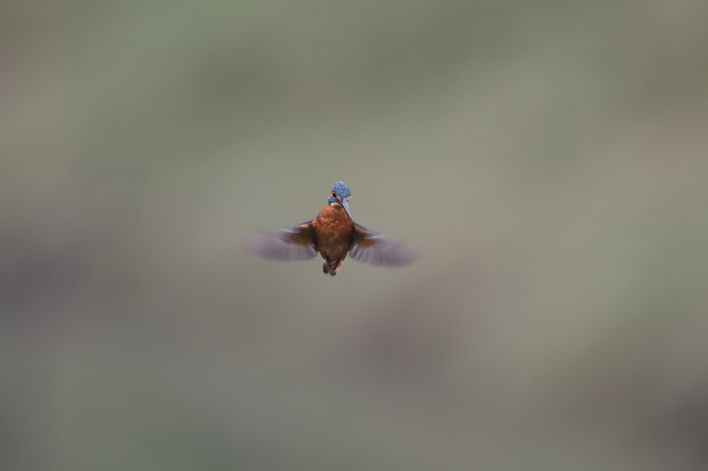 どっちかむいて