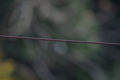 また、何時か　２