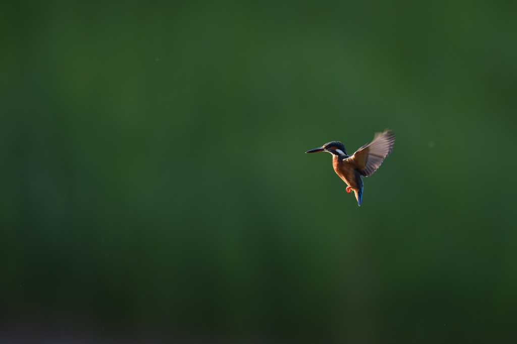 スイッチオン　⑯－１