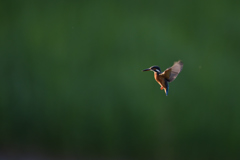 スイッチオン　⑯－１