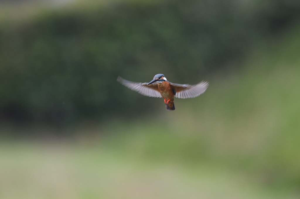 入場は、2回のみ。