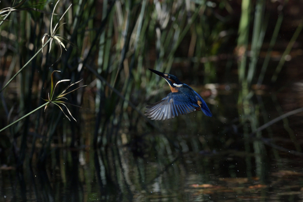 間に合わない　２