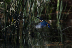 間に合わない　２