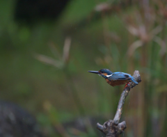 飛出し（在庫）