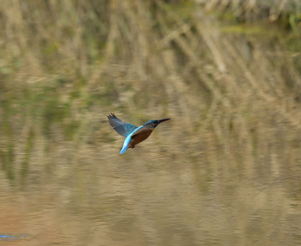 Ｏさんの様に・・・　８