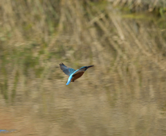 Ｏさんの様に・・・　８