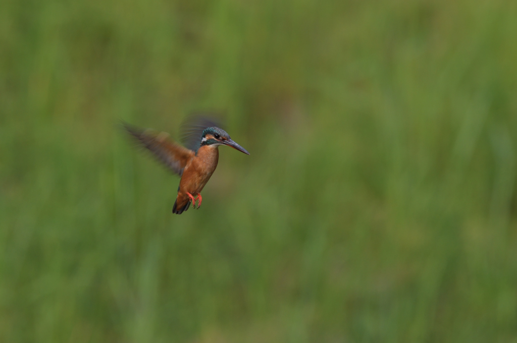 ７分で４発　３