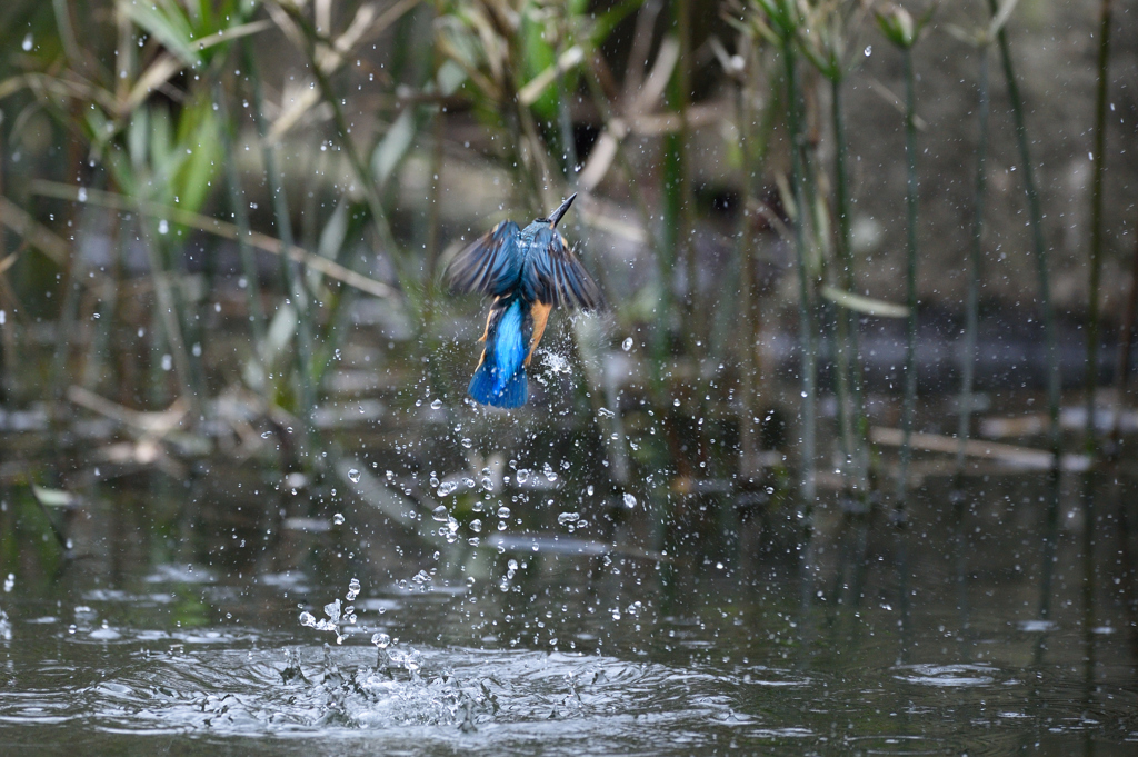 バック　在庫（Ｈ）
