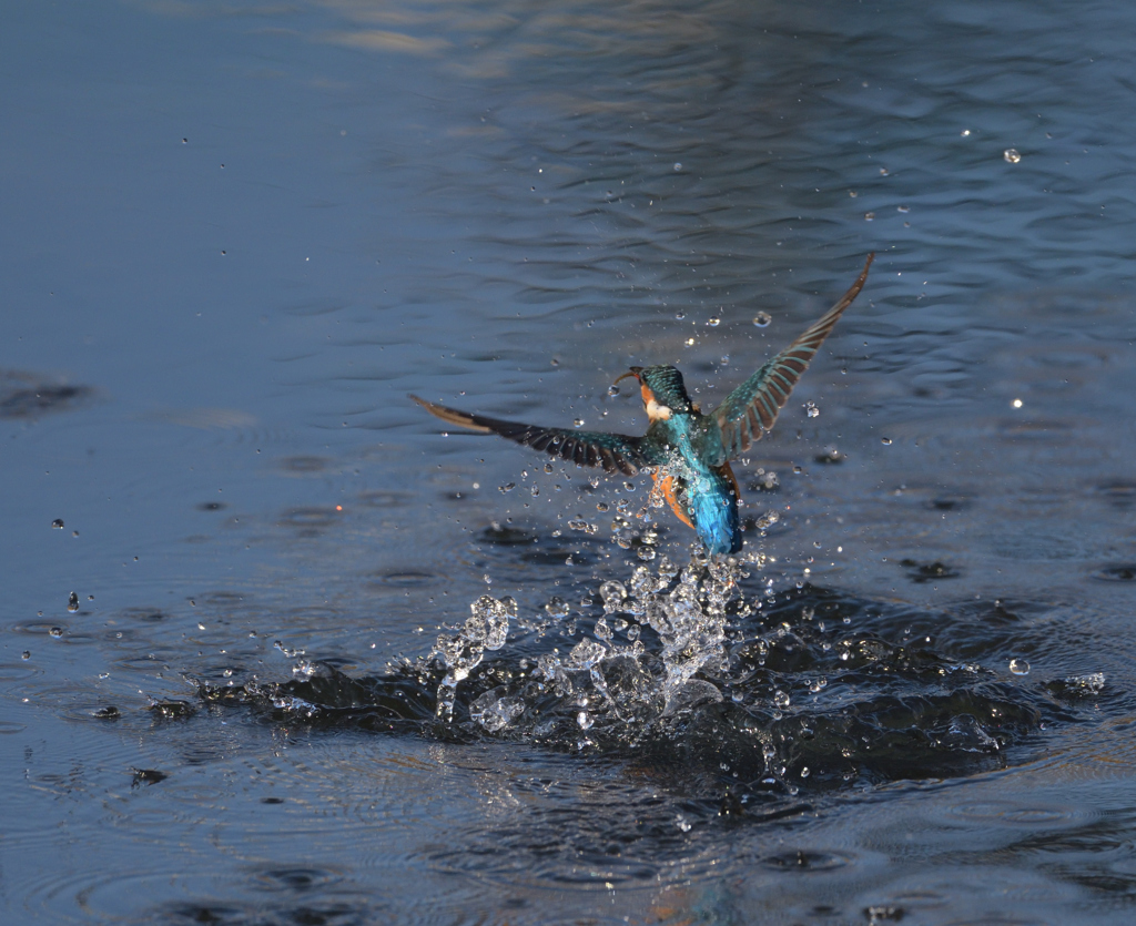 また、はじまる。　３