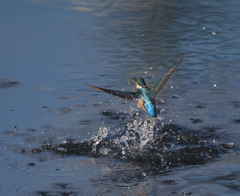 また、はじまる。　３