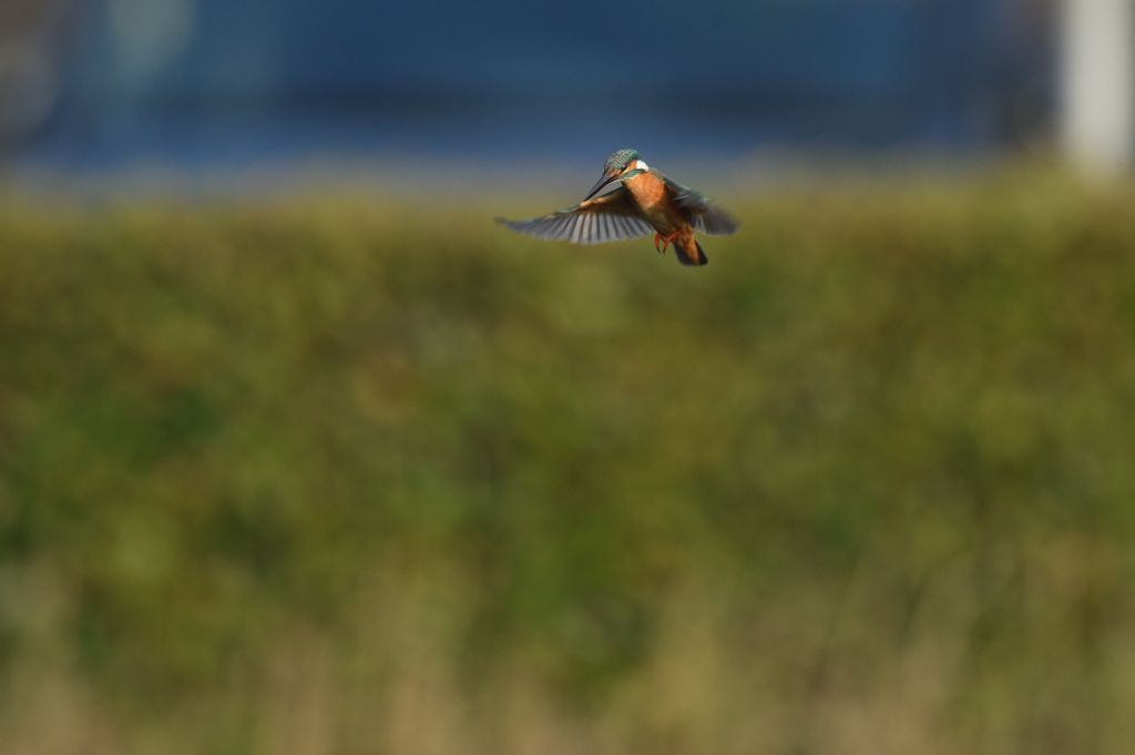 プチ三段ホバ？　①