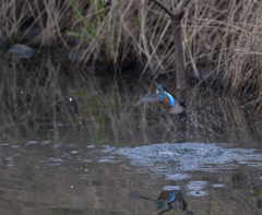 またまた・・・　３