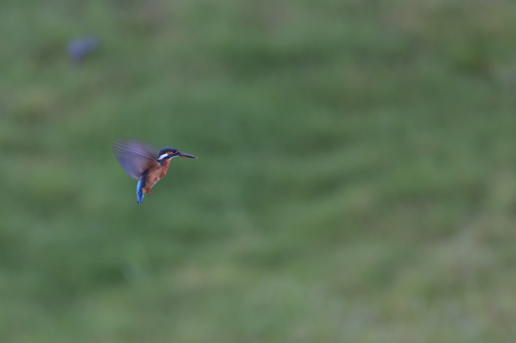 回避できたけど・・・　②－３