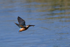 アスガアルサ　４