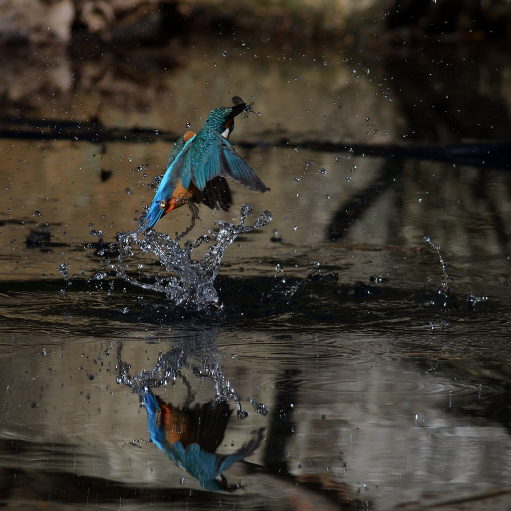 シンクロ？　２