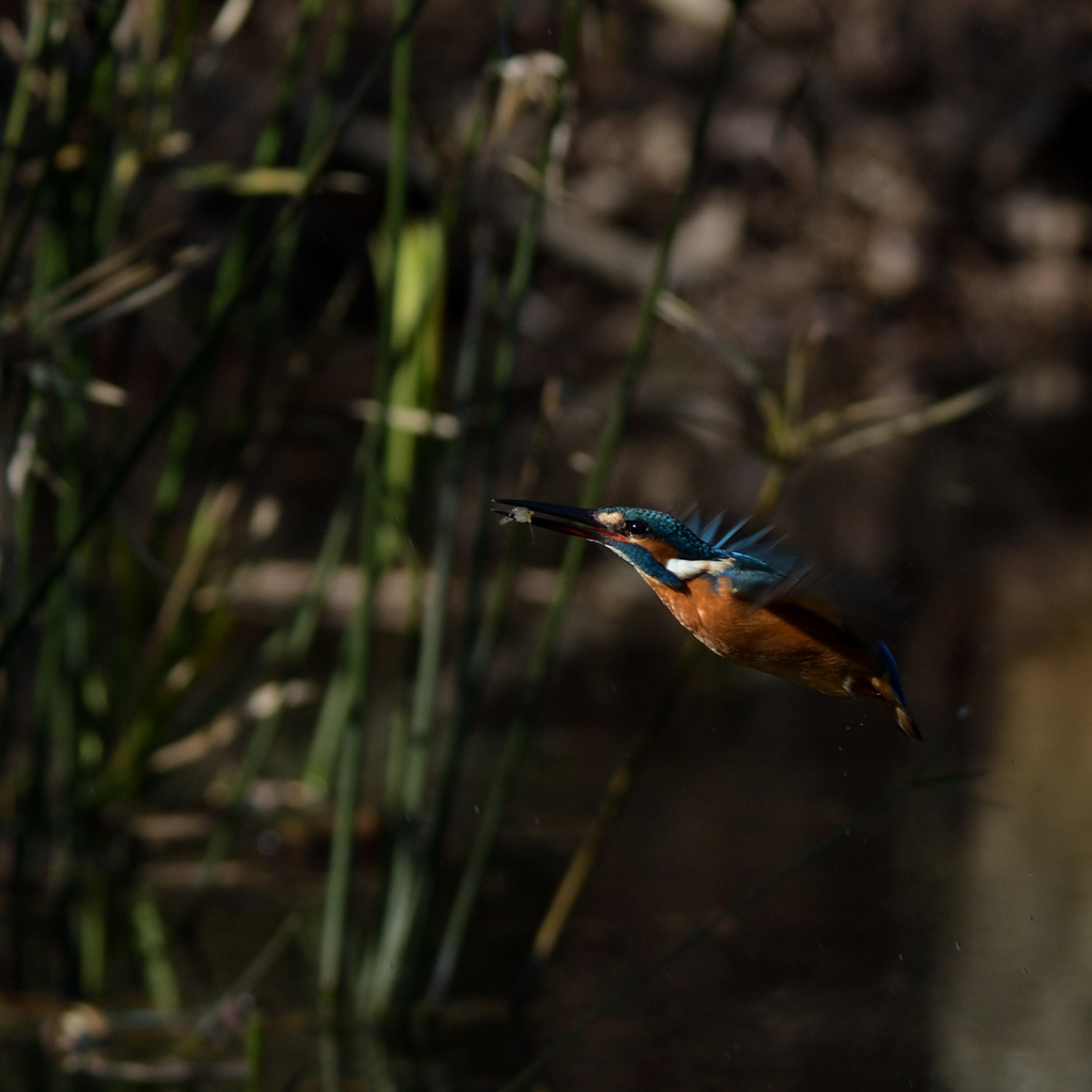 間がほしい　２