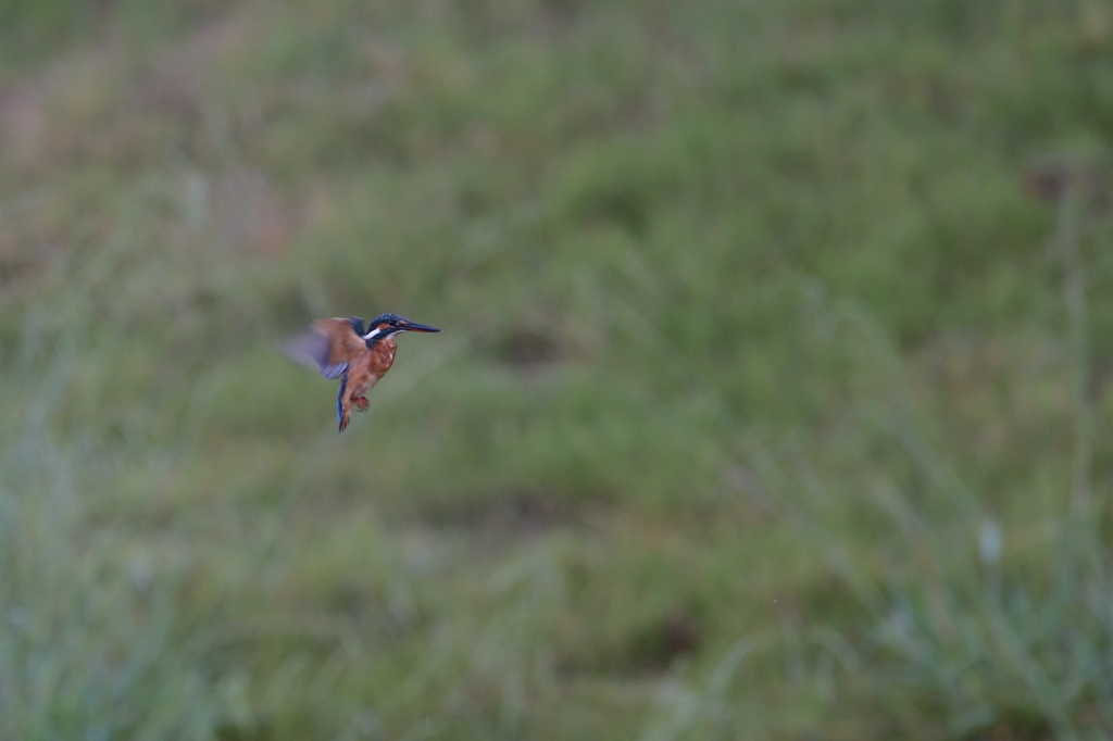 回避できたけど・・・　①