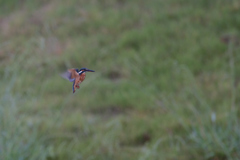 回避できたけど・・・　①