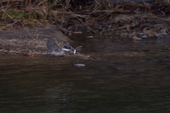 とりあえず　１