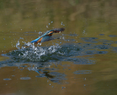 迷いばかり　４