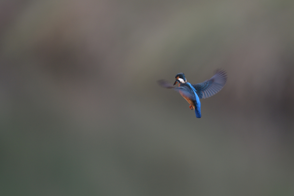 本気四発　④－1