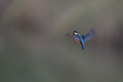 本気四発　④－1